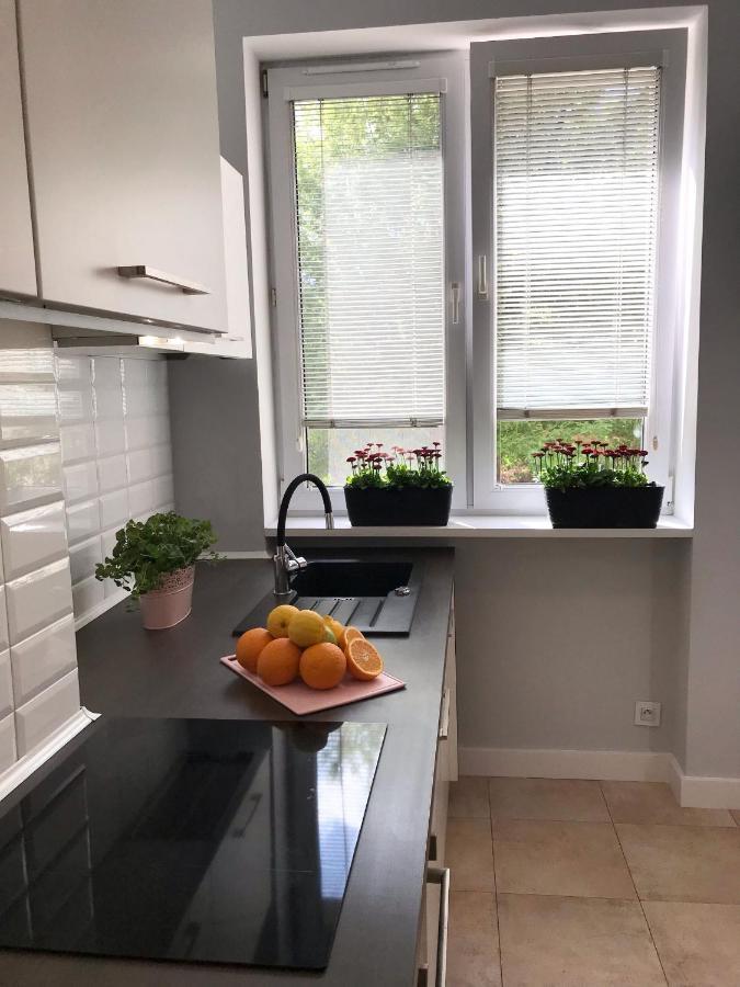 Klimatyczny Apartament Pod Ratuszem -Ul. Slaska 2 Çestohova Dış mekan fotoğraf